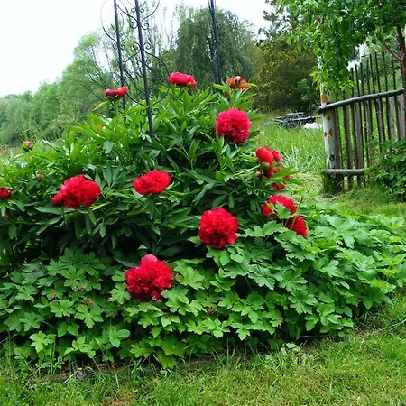 Kinderfreundliches Gartenzimmer Nieheim